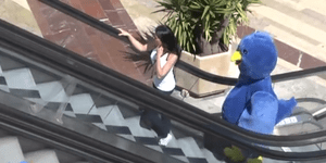 Το πουλί – σήμα κατατεθέν του Twitter ζωντανεύει και... τρομοκρατεί [βίντεο]