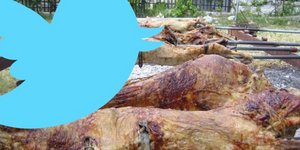 twitter