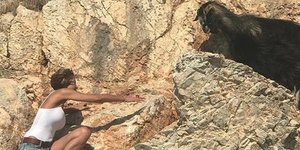 Η Τζένη Μπαλατσινού προσπαθεί να σώσει μια κατσίκα