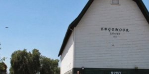 Oταν μια Αμερικανίδα προσπαθεί να μας πείσει ότι ένα τσόφλι από ηλιόσπορο είναι 