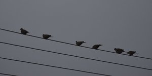 Φωτογραφία: IntimeNews