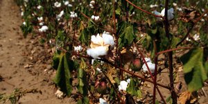 (EUROKINISSI/ΘΑΝΑΣΗΣ ΚΑΛΛΙΑΡΑΣ) 