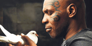 Η «πράσινη δίαιτα» των σταρ: Ποιοι διάσημοι είναι χορτοφάγοι