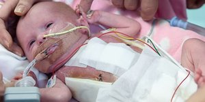 Η μικρή Βανέλοπη κερδίζει τη μάχη