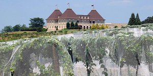 φωτογραφίες: pixabay.com