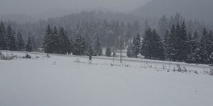 Φωτογραφία: trikalavoice.gr