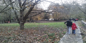 Σπάνια είδη φυτών στολίζουν τον Βοτανόκηπο Κεφαλοβρύσσου στο Καρπενήσι [εικόνες]