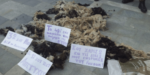 Oργή λαού στην Κύπρο - Εριξαν μαλλιά προβάτων έξω από τη Βουλή – Προπηλάκισαν το