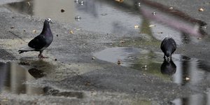 Φωτογραφία: Eurokinissi