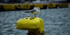 Φωτογραφία Eurokinissi