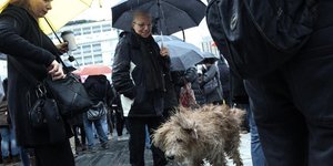 SOOC/ΝΙΚΟΣ ΠΑΛΑΙΟΛΟΓΟΣ