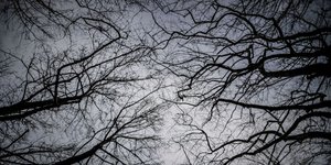 Φωτογραφία: IntimeNews