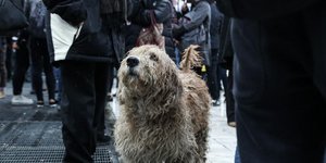 Φωτογραφία: Sooc