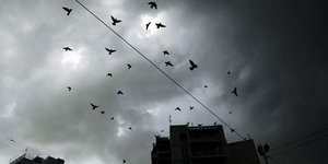 Φωτογραφία: EUROKINISSI/ΣΤΕΛΙΟΣ ΜΙΣΙΝΑΣ