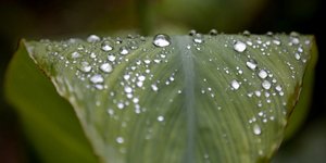 (EUROKINISSI/ ΣΤΕΛΙΟΣ ΜΙΣΙΝΑΣ)