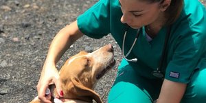 Η Βασιλική Σταθοπούλου φροντίζει ένα σκυλάκι. Φωτογραφία: Vasiliki Stathopoulou/Facebook