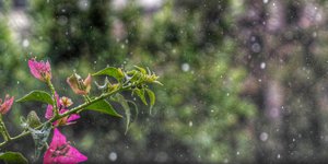 ΦΩΤΟΓΡΑΦΙΑ: INTIME NEWS