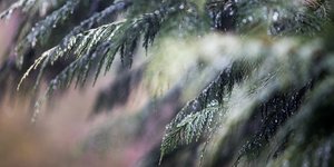 ΦΩΤΟΓΡΑΦΙΑ: INTIME NEWS /ΤΟΣΙΔΗΣ ΔΗΜΗΤΡΗΣ