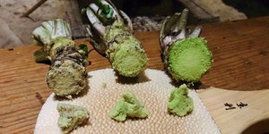 Φωτογραφίες: wikipedia 