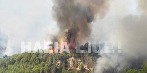 Πολύ δύσκολη η κατάσταση στην Ηλεία -ΦΩΤΟΓΡΑΦΙΑ: IliaLive