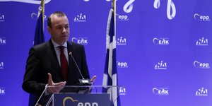 Ο Μάνφρεντ Βέμπερ/ Φωτογραφία: AP