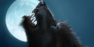 Μυστήριο στη Βραζιλία με την εμφάνιση λυκανθρώπου σε πάρκο -Απαγορεύτηκε η κυκλο