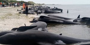 ΦΩΤΟΓΡΑΦΙΕΣ: AP