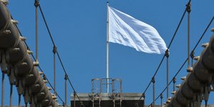 Λύθηκε το μυστήριο: Βρέθηκαν οι δράστες που άσπρισαν τις αμερικανικές σημαίες στ