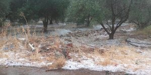 Φωτογραφία: cretalive.gr 