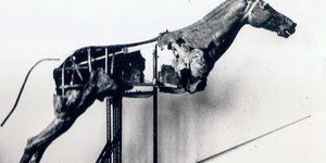 Ανοίγουν τα εργαστήρια για το κοινό 