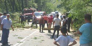 Δέντρο έπεσε πάνω σε αυτοκίνητο ενώ κινούνταν/ Φωτογραφία: xanthipress