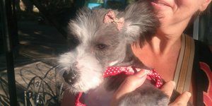 Φωτογραφία: epirus-tv-news.gr