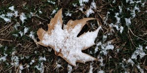 Konstantinos Tsakalidis / SOOC