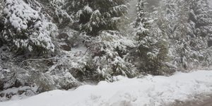 Τραγωδία σε χωριό στο Αίγιο -Βρήκαν νεκρή 80χρονη