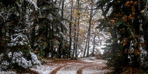 Χιονισμένη Λίμνη Πλαστήρα (Φωτογραφία: EUROKINISSI/ ΕΥΡΙΠΙΔΗΣ ΠΑΠΟΥΤΣΗΣ)