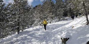Φωτογραφία: Sooc/Κωνσταντίνος Τσακαλίδης