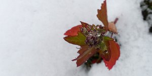 Φωτογραφία: EUROKINISSI/ΘΑΝΑΣΗΣ ΚΑΛΛΙΑΡΑΣ