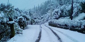 Φωτογραφία: ΧΑΡΗΣ ΝΙΚΟΛΟΠΟΥΛΟΣ/EUROKINISSI