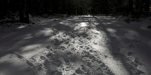 Φωτογραφία: Konstantinos Tsakalidis / SOOC