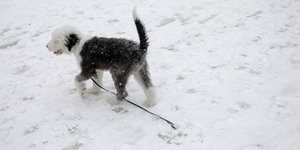 Φωτογραφία: Konstantinos Tsakalidis / SOOC