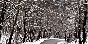 ΦΩΤΟΓΡΑΦΙΑ: EUROKINISII