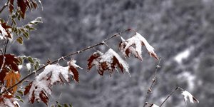 Φωτογραφία: EUROKINISSI/ΘΑΝΑΣΗΣ ΚΑΛΛΙΑΡΑΣ