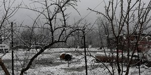 Χιόνια στην Κόνιτσα/ Φωτογραφία: Twitter