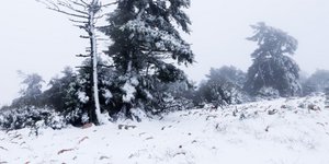 3 άνθρωποι αποκλεισμένοι στη Φθιώτιδα/ Φωτογραφία αρχείου: EUROKINISSI- ΓΙΩΡΓΟΣ ΚΟΝΤΑΡΙΝΗΣ