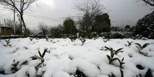 Φωτογραφία: Eurokinissi