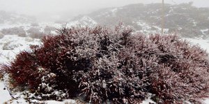 Φωτογραφία: Δήμος Ανωγείων