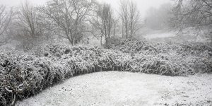 Φωτογραφία: Konstantinos Tsakalidis / SOOC