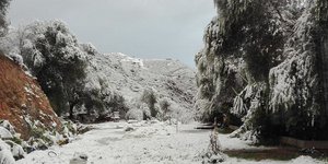 Φωτογραφία: zarpanews.gr