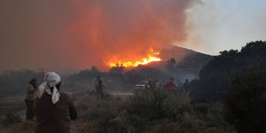 Οικονομική και οικολογική καταστροφή στην Χίο – Κάηκε το 30% των μαστιχόδεντρων