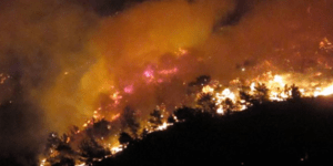 Ένας 25χρονος ο βασικός ύποπτος για τις πυρκαγιές της Χίου